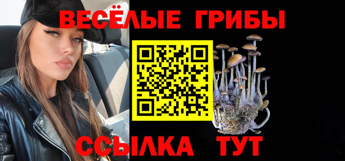 Орёл  Галлюциногенные грибы мицелий  Вход с VPN 